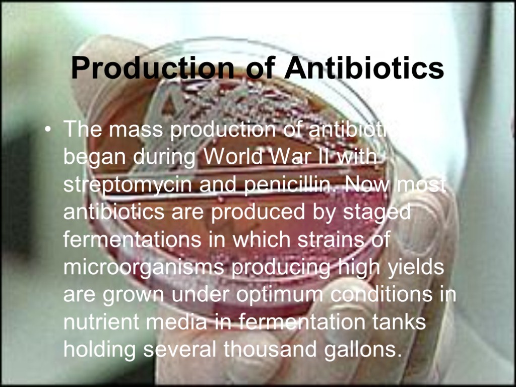 Production of Antibiotics The mass production of antibiotics began during World War II with